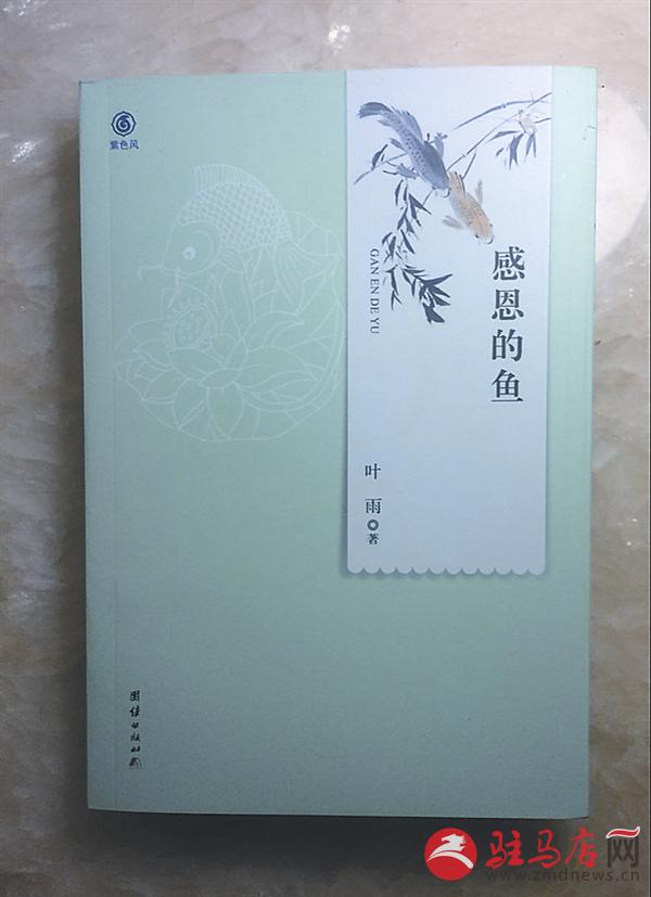369043_ж㡷档.jpg