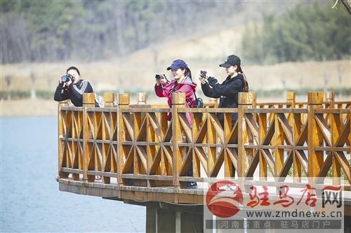 guols1703116.jpg