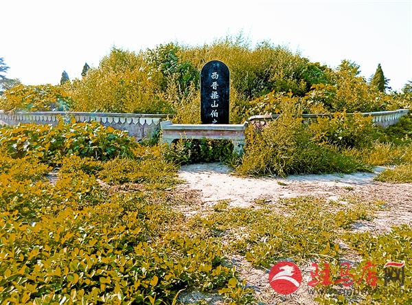 wangy170427.jpg
