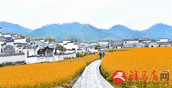 wangy180339.jpg