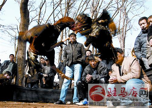 jiaoyp141012.jpg