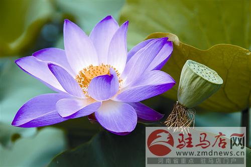 jiaoyp140734.jpg