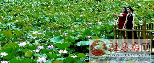 jiaoyp140737.jpg