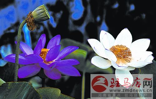 jiaoyp140736.jpg
