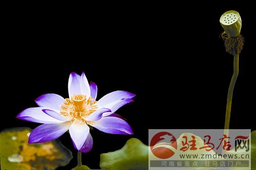 jiaoyp140733.jpg