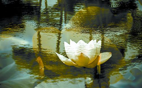liul140928.jpg