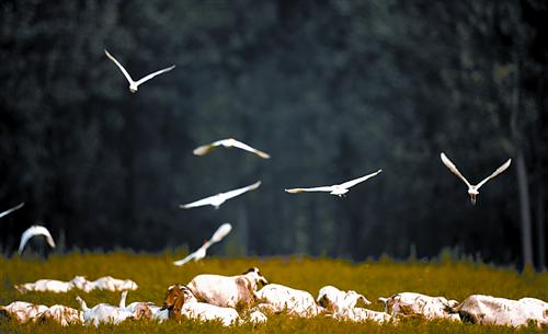 liul140922.jpg