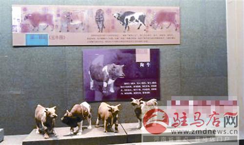 269131_110338247.jpg
