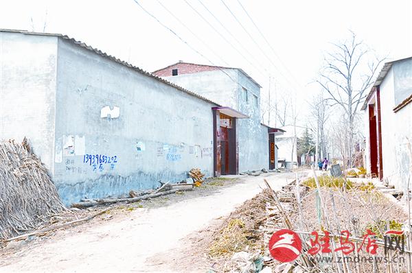 reny150366.jpg