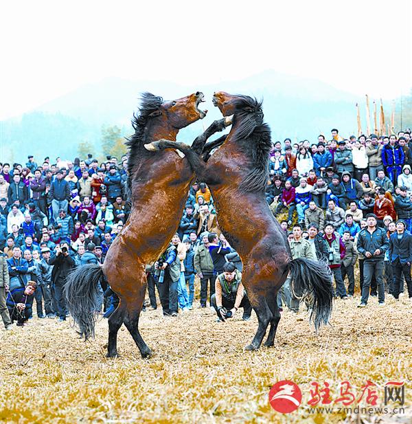 reny1603156.jpg