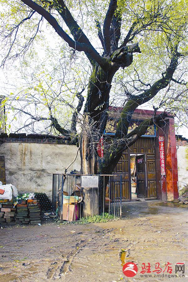 xuel1805385.jpg