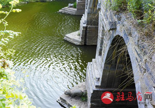 guols1807168.jpg