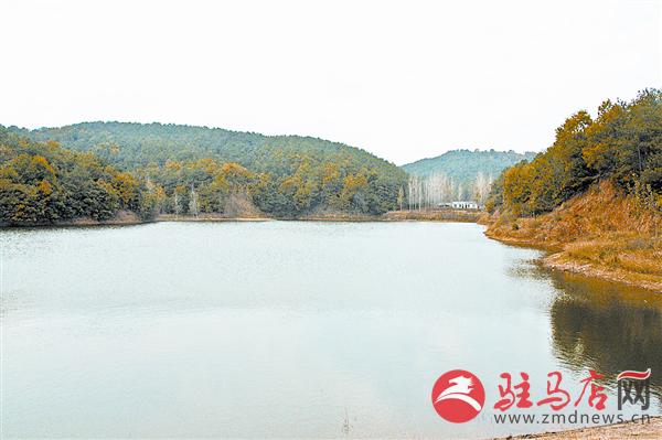 wangy151149.jpg