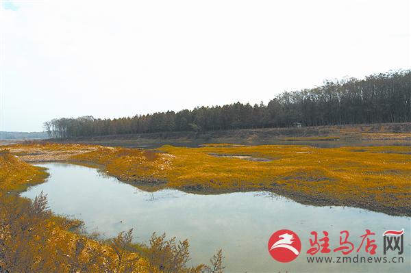 wangy151147.jpg