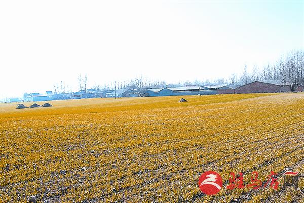 reny1601104.jpg