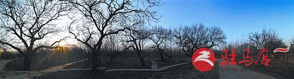 reny170178.jpg