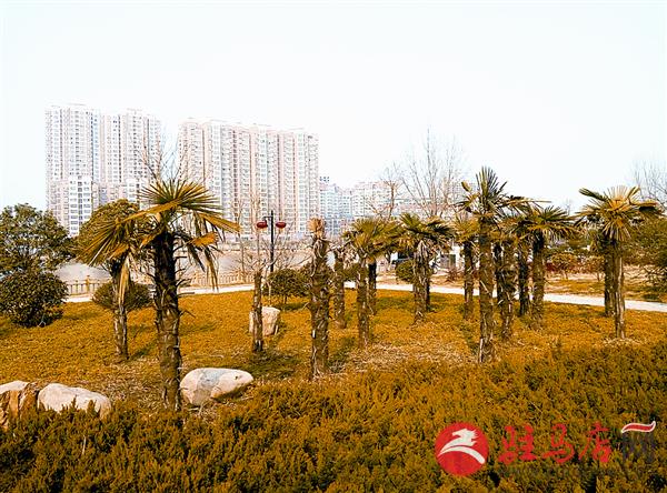 reny170220.jpg