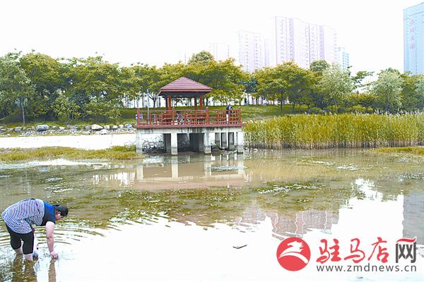 wangy1705191.jpg
