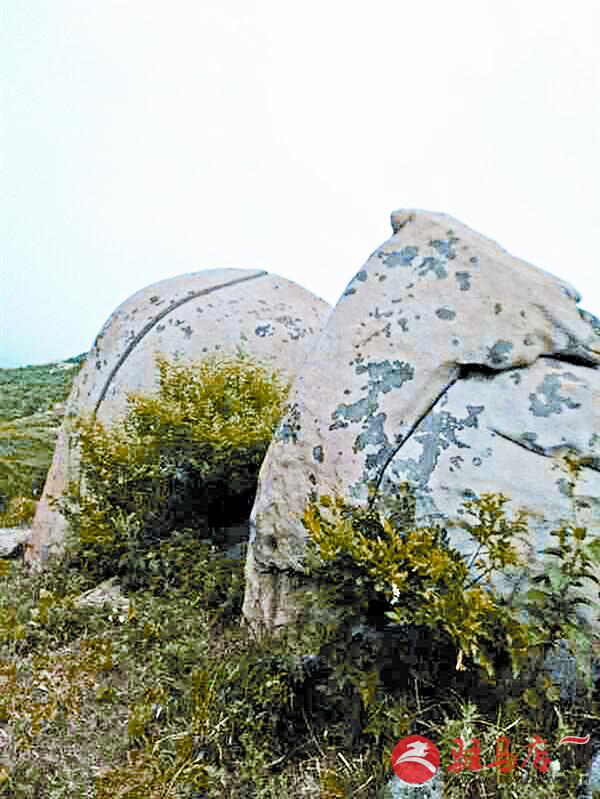 reny170651.jpg