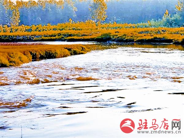 wangy180122.jpg