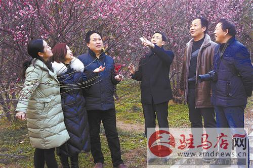 guols170278.jpg