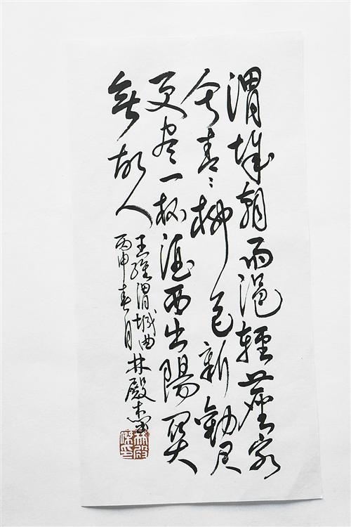 wub1703268.jpg