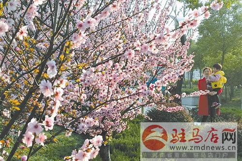 guols1703219.jpg