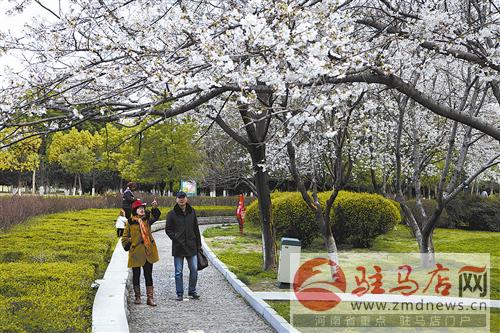 guols1703222.jpg