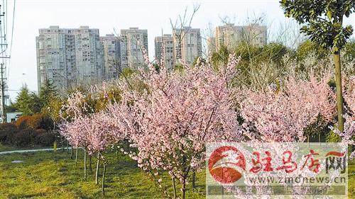 guols1703216.jpg