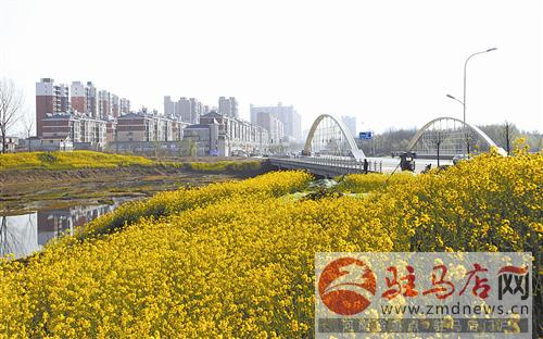 guols1703221.jpg