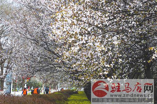 guols1703218.jpg
