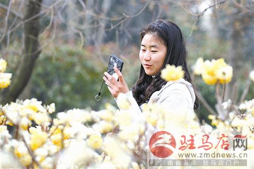 guols1703224.jpg
