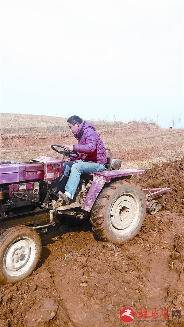 luf1503187.jpg