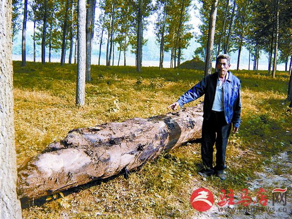 wangj15066.jpg