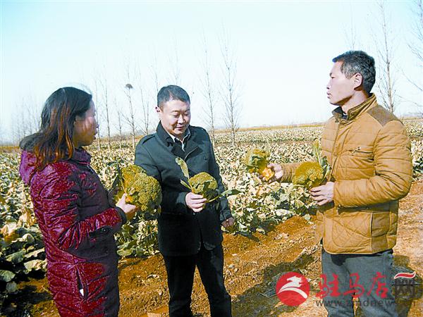 wangj151240.jpg