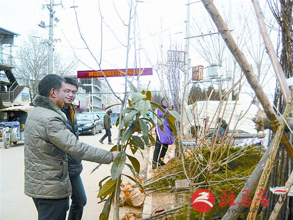 wangj1602150.jpg