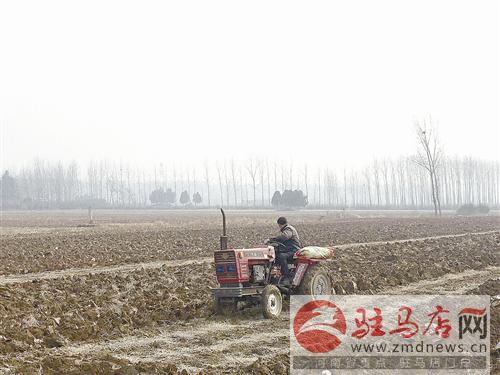 guols170245.jpg