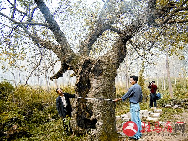 wangy170430.jpg