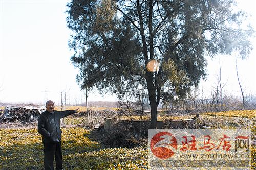 luf14122761.jpg