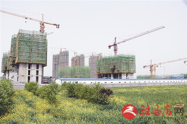 zhangz1504175.jpg