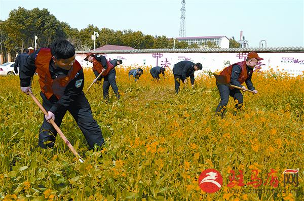 yaohf170364.jpg