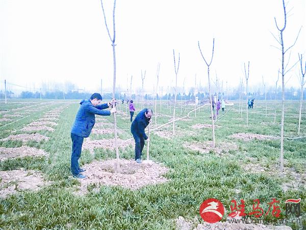 wangk180248.jpg