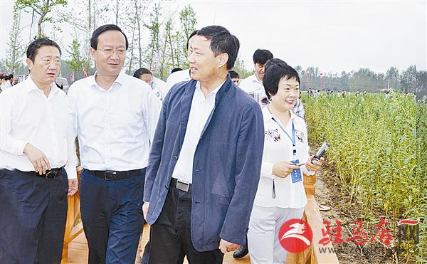 wub1709250.jpg