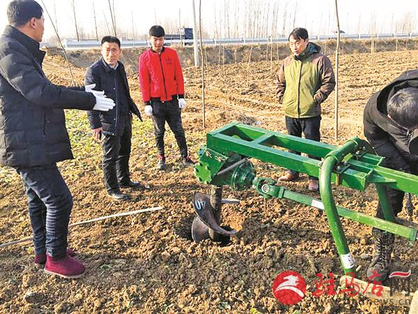 wangk190262.jpg
