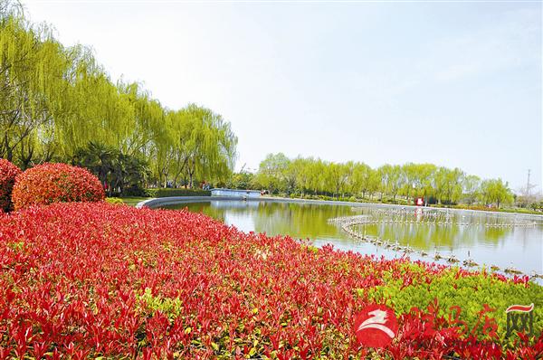 guols1904213.jpg