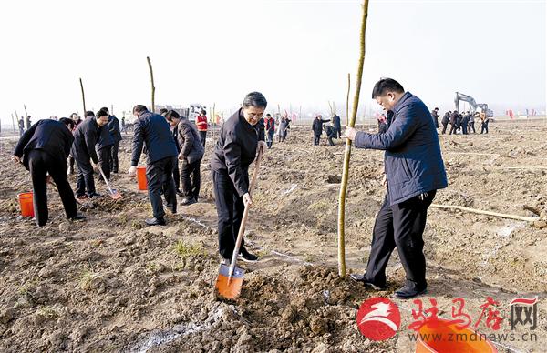 guols1904212.jpg