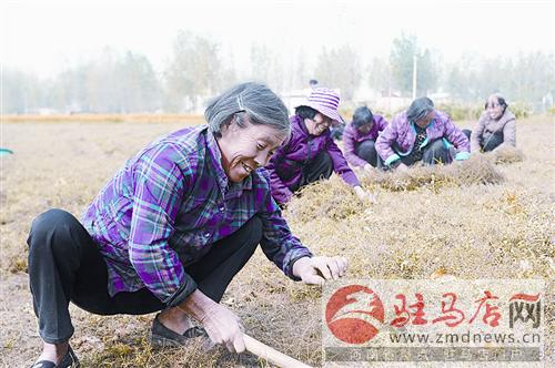 zhaol141023.jpg