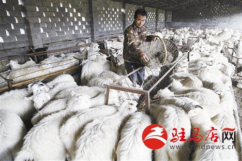 zhangz1411147.jpg