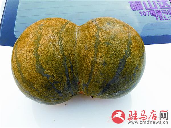 guojg160729.jpg