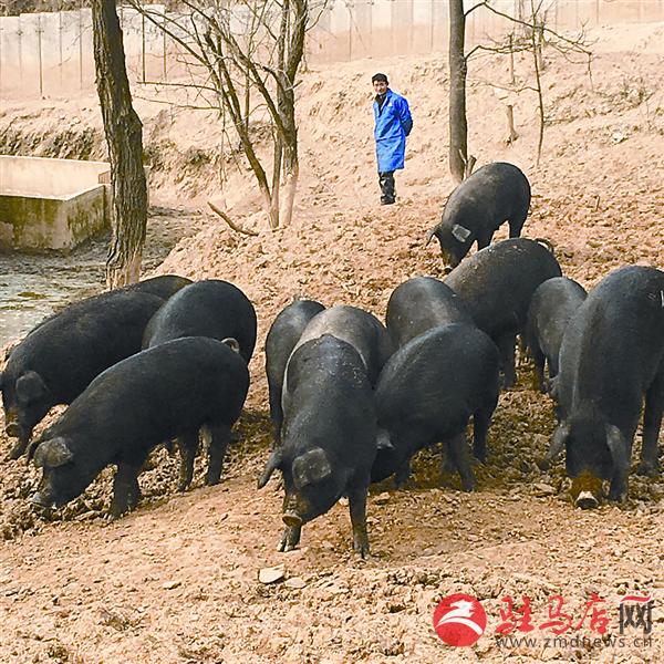guojg1612138.jpg